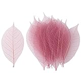 東京堂 ドライフラワー  ミニスケルトンリーフ大 (40枚入り) クリスタルピンク FD004503-110