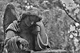 ラミネート36 x 24ポスター: Cemetery Statue Stone Angel手Sadness DeathブラックandホワイトMonumentメモリTombstone