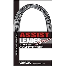 Amazon.co.jp: エックスブレイド(X-Braid) セキ糸2 No.9 黒
