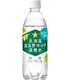 ダイドー 和ノチカラ ゆず炭酸水500ml×24本