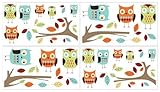 Sweet Jojo Designs 4-Piece Turquoise and Lime Hooty Owl Baby Childrens and Kids Wall Decal Stickers 
