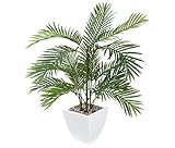 Closer To Nature 2ft 6-inch Mini Palm Tree