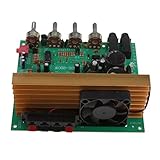 IPOTCH 100W　オーディオ　ハイファイ　デジタル　デジタル　パワーアンプ　ボード