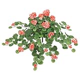 【アートフラワー・ゼラニウム】プレミアムゼラニウムブッシュ(L)(コーラル)