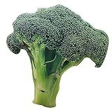 B-PING 野菜ぬいぐるみ 抱き枕 置物　野菜クッション おもちゃ 誕生日 四種類 寝具の用品 個性派 座布団 白菜 ジャガイモ　ブロッコリー　野菜 (ブロッコリー)