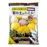 花ごころ 菊の土お見事!  12L