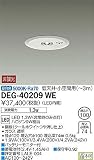 大光電機 非常灯 DEG40209WE