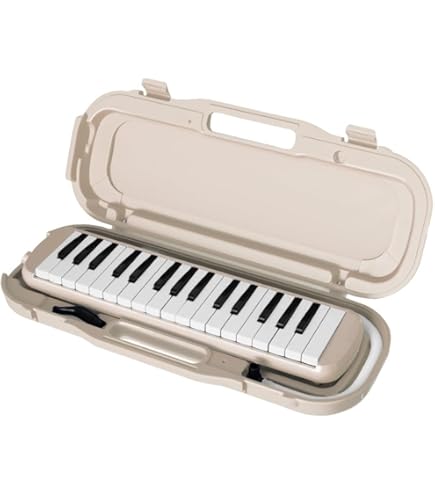 【専用ソフトケース付き】Roland GO:KEYS 61鍵盤 GO-61K Amazon | ROLAND ローランド 61鍵キーボード GO:PIANO GO-61P +