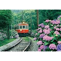 Amazon.co.jp: 風景 あじさい薫る箱根登山鉄道メタルプレート 壁掛け