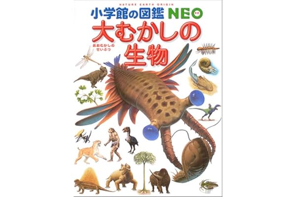 Amazon Co Jp 売れ筋ランキング Undefined の中で最も人気のある商品です