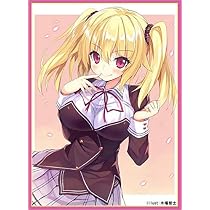 ノラと皇女と野良猫ハート スリーブ 中古 Amazon.co.jp: クラスター カードスリーブ ☆『ノラと皇女と野良猫