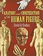 Anatomy and Construction of the Human Figure