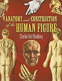 Anatomy and Construction of the Human Figure