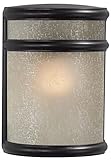 Minka Lavery 9811-166 One Light Pocket Lantern [並行輸入品]
