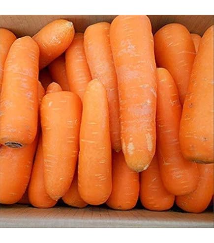Amazon.co.jp: 津堅島にんじん 5kg【予約販売】【4月中旬〜下旬より