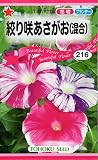 【種子】絞り咲あさがお（混合） 花 トーホクのタネ