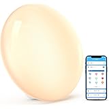 ナイトライト Dreamegg 間接照明 スマホ操作 アレクサ/Google Home対応 - タイマー付き RGBライト（1600万色+電球色+雰囲気点灯）無段階調光 雰囲気作り 目覚ましライト LED 照明 ベッドサイドランプ パーティー 誕生日