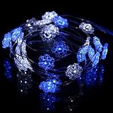 25 LED Snowflakes with Bendable Copper String Lights - Color Blue/White [並行輸入品]