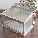 ホワイトＷｏｏｄ・ガラスケース