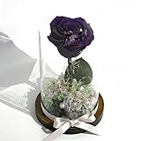 Makefuture バレンタイン プリザーブドフラワー ギフト ダイヤモンドローズ プリンセスフルール プロポーズ 一輪 薔薇 (ロイヤルパープル)