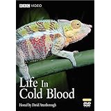 Life in Cold Blood [DVD]