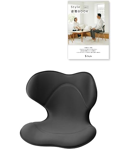 Amazon.co.jp: Style Premium Series MTG MTG Pelvic Support Chair 