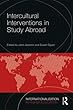 Intercultural Interventions in Study Abroad (Internationalization in Higher Education Series)