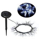 ALEKO 2SL30LEDSTARFISHWH Solar Powered 30 LED White Starfish String Light Christmas Holiday Light 20