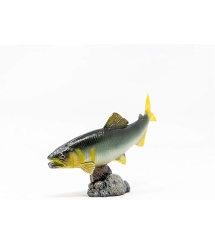 Amazon.co.jp: 日本の清流 単品 ニッコウイワナ ガチャ フィギュア