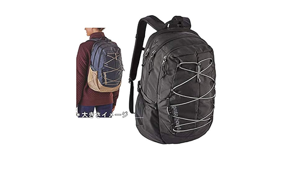 patagonia large backpack