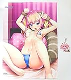 PCソフト 放課後シンデレラ2/放課後シンデレラ1＋2パック｜描き下ろしB2タペストリー&オリジナルSDアクリルキーホルダー｜HOOKSOFT｜★画面右上『すべての出品を見る』からご購入できます★