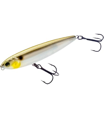 Amazon.co.jp: DUEL(デュエル) L-バス ペンシルポッパー