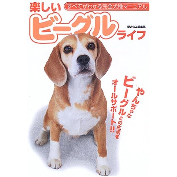 0歳からシニアまで ビーグルとのしあわせな暮らし方 | Wan編集部 |本