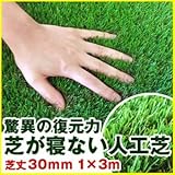 Liebe【リーベ】 人工芝 芝丈30mm 1m×3m 3平米　V字 復帰型 『パークシア・プレミアム』