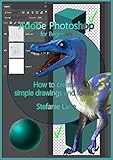 Adobe Photoshop for Beginners: How to create simple drawings and forms (English Edition)