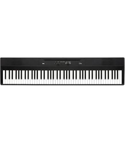 Korg SP170s 88-Key Digital Piano, Black Piano Black : Amazon.com
