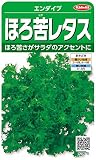 サカタのタネ 実咲野菜3675 ほろ苦レタス エンダイブ 00923675