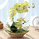 NIUA 造花 優雅で高貴な胡蝶蘭 鉢植 人工観葉植物 鉢植え造花 樹脂鉢 手芸 綺麗 枯れない スーツ 家庭装飾品　雑貨 お誕生日 お祝い ギフト インテリア 飾り (グリーン)