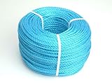 Faithfullブルーポリロープ6 mm 220 m 10mm x 220m RB220100