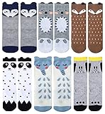 QandSweet SOCKSHOSIERY ベビー・ボーイズ US サイズ: S カラー: マルチカラー