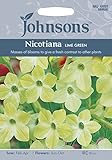 JOFL 英国ジョンソンシード Nicotiana x sanderae Lime Green F1 ニコチアナ・ライム・グリーン・F1
