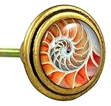 Charleston Knob Company EE-110-F Vintage Brass with Glass Inlay Knob, Set of 2, Shell Design by Char