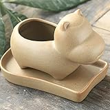 Liebeye 植木鉢 陶器　動物　皿つき 漫画 フラワーポット 多肉植物 ビスク ホーム オフィス 可愛い　おしゃれ Cタイプ