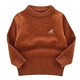 LOSORN ZPY SWEATER ユニセックス・ベビー カラー: ブラウン