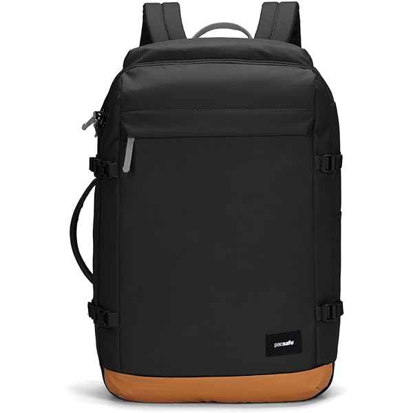 Amazon.co.jp: pacsafe Vibe 40 Lバックパックジェットブラック