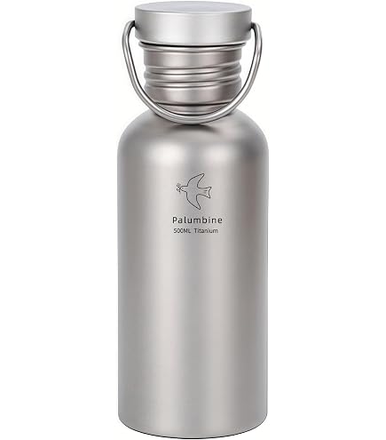 Amazon.co.jp: Klean Kanteen クラシック ステンレススチール シングル