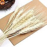 人工秋小麦フラワーブーケ花輪フェイク花DIYスクラップブック&ホームガーデン&ウェディングパーティー装飾用20個k0051