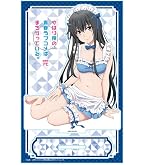 Amazon.co.jp: やはり俺の青春ラブコメはまちがっている。完 アクリル