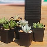 (サンライン)Sun Line プランター 植木鉢 フラワーポット 長方形　ガーデニング 家庭菜園・ベランダ菜園用 インテリア アウトドア デコレーション4個セット (ブラック)