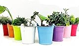 OHAGI 観葉植物用 鉢 バケツ型 ミニ 植木鉢 プランター容器 フラワーポット カラフル ８色セット